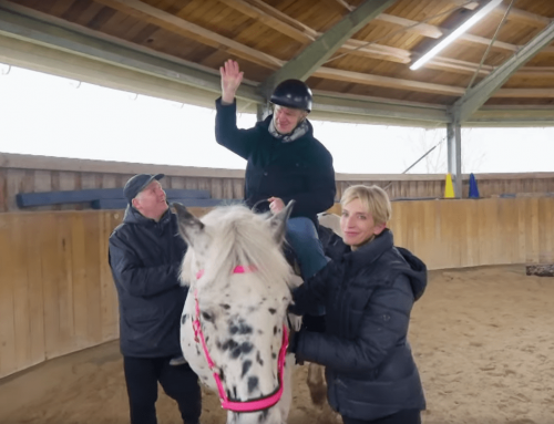 Reittherapie für unsere Fös-Mitarbeitenden – gefördert durch Aktion Mensch